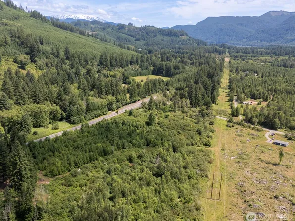 0 Lewis River Road, Ariel, WA 98603
