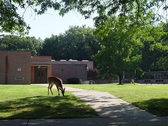 ACROSS OF THE MIDDLE SCHOOL