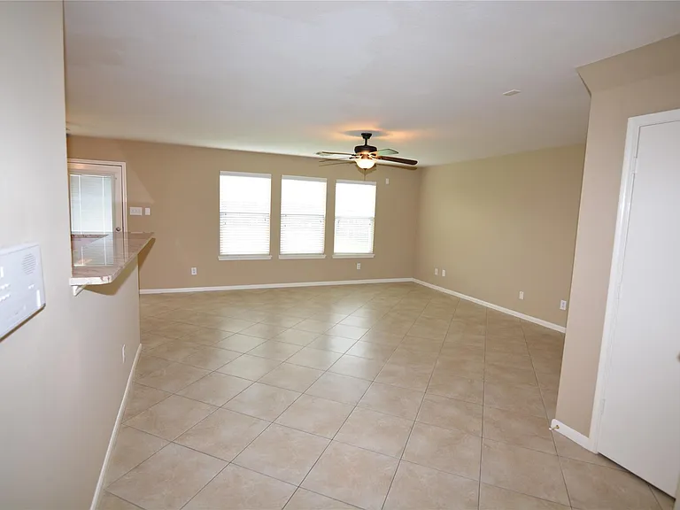 3903 Brighton Springs Ln — Photo 4