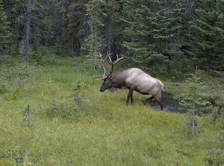 Nhn Jack Crk, Basin, MT 59631