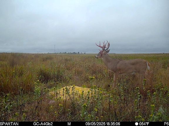 2nd image of County Road 3