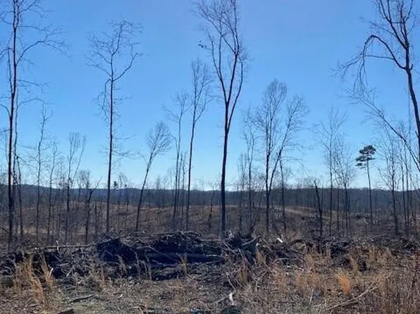 TRACT 20 River Rd Tract 20, Decatur, TN 37322