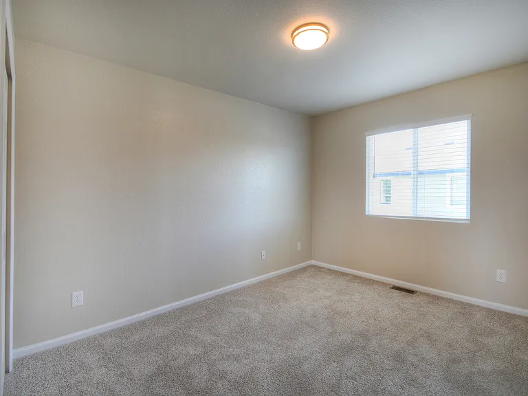 11578 Black Maple Ln — Photo 12