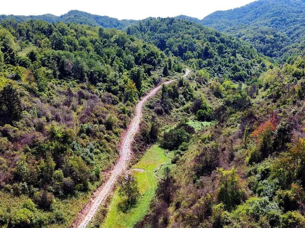 4832 Witten Valley Rd, Tazewell, VA 24651
