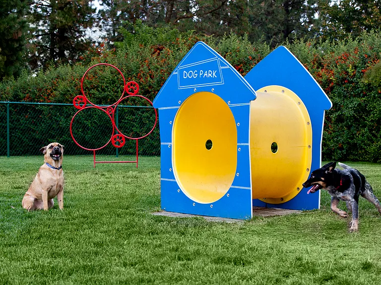 Off Leash Dog Park