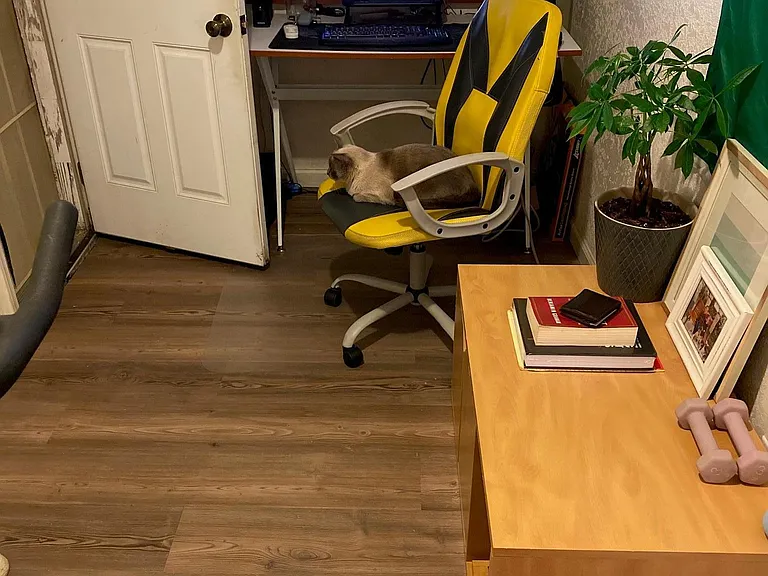 Small back room/office. This door exits to the backyard.