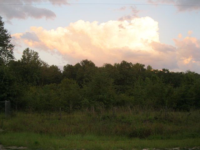 2nd image of 6906 Bluff Lake Rd