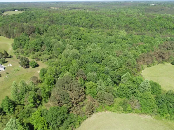 0 County Road 23, Haleyville, AL 35565