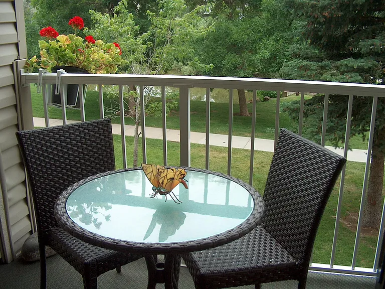 1150 Golden Cir #203 — Photo 1