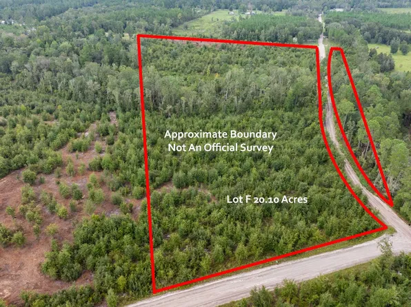 NE Needmore Rd #&lafayette, Lake City, FL 32055