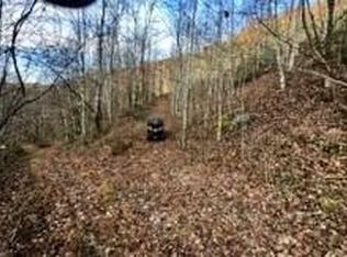 0 Right Fork Of Rockhouse Rd, Pikeville, KY 41501