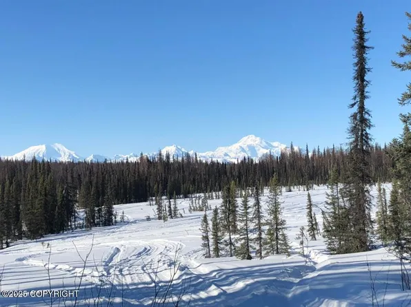 Town Road C No Rd, Trapper Creek, AK 99683