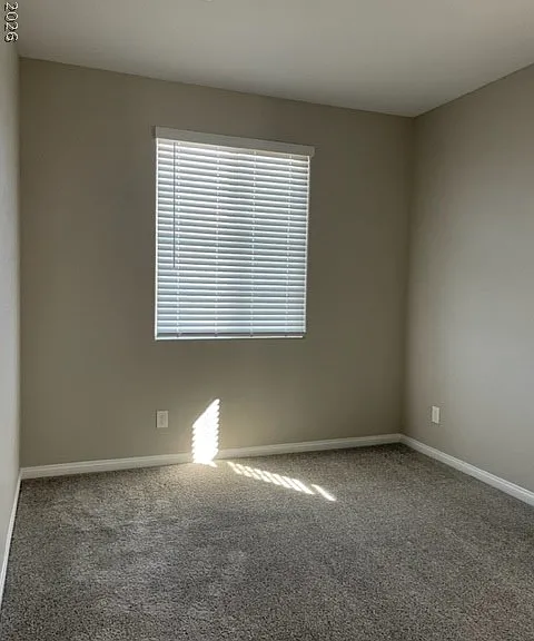 12529 Skylight View St — Photo 30