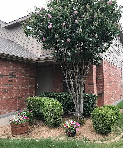 Front Walk Up