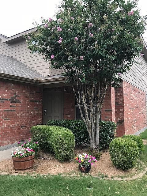 Front Walk Up
