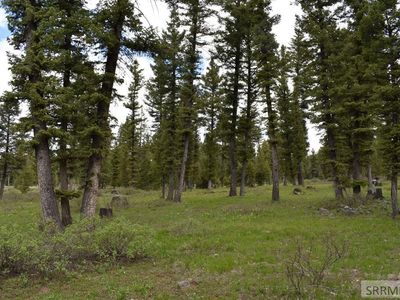 2812 Bronco Cody Rd, Island Park, ID, 83429
