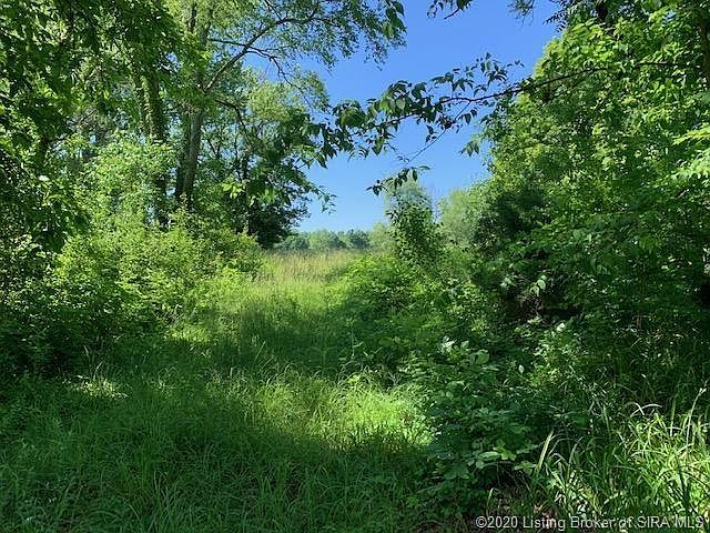2nd image of 8043 John Pectol Rd
