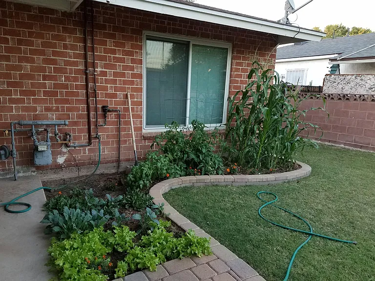 Potential Garden area