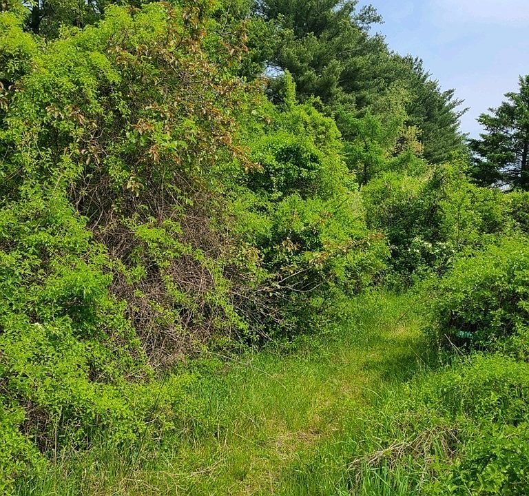 2nd image of 301 Tinkham Rd