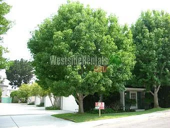 3 bed, 2.5 bath, 1600 sqft, $6,300 — Photo 2