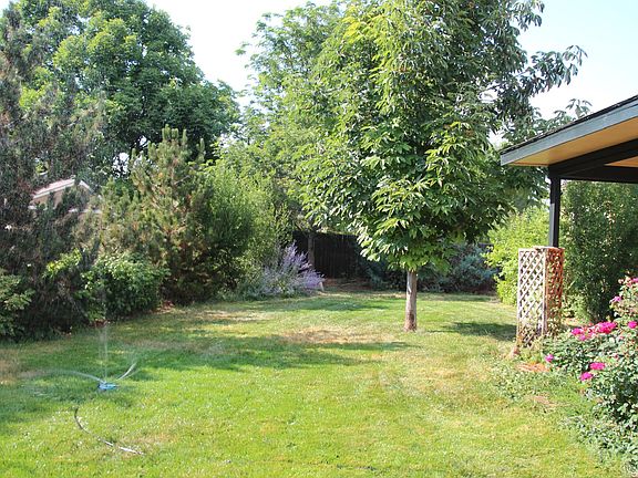 Beautiful and large backyard