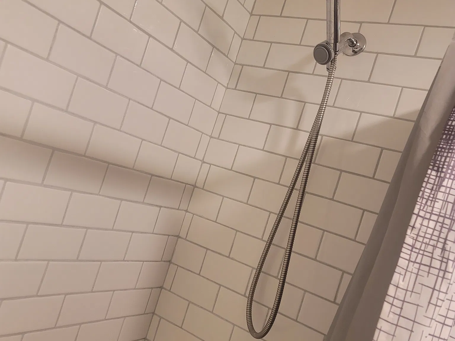 1 bed, 1300 sqft, $700 — Photo 4