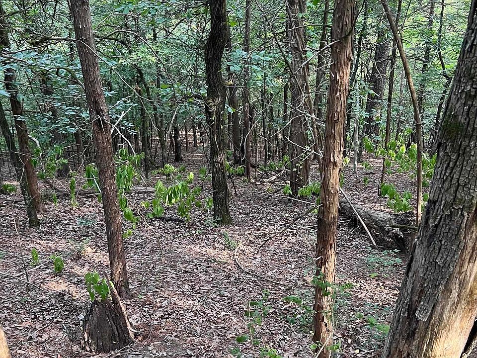 2nd image of 25 Katie Ln