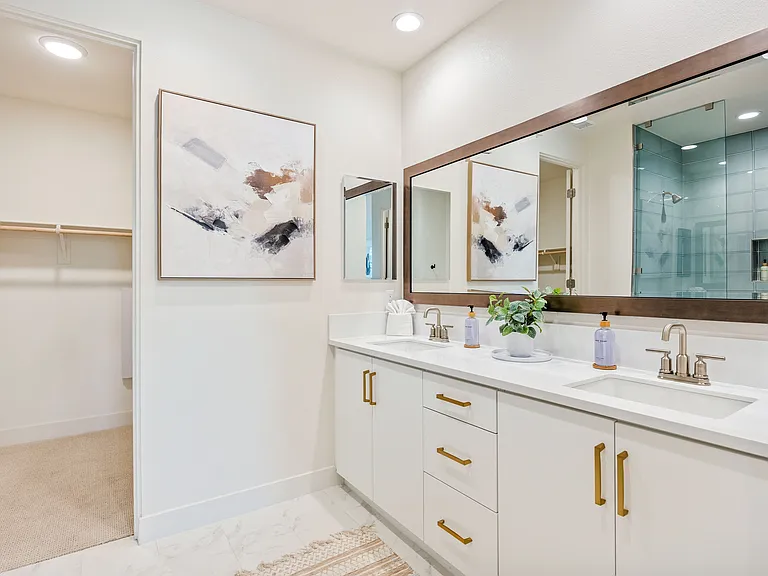 Master Suite Bathroom