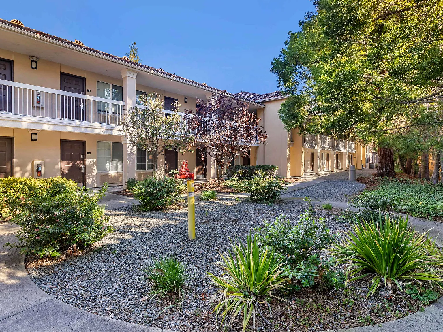 San Jose - Mountain View — Photo 3