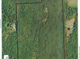 Molski Hwy, Hawks, MI 49743