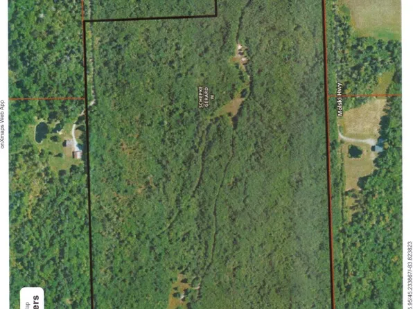 Molski Hwy, Hawks, MI 49743