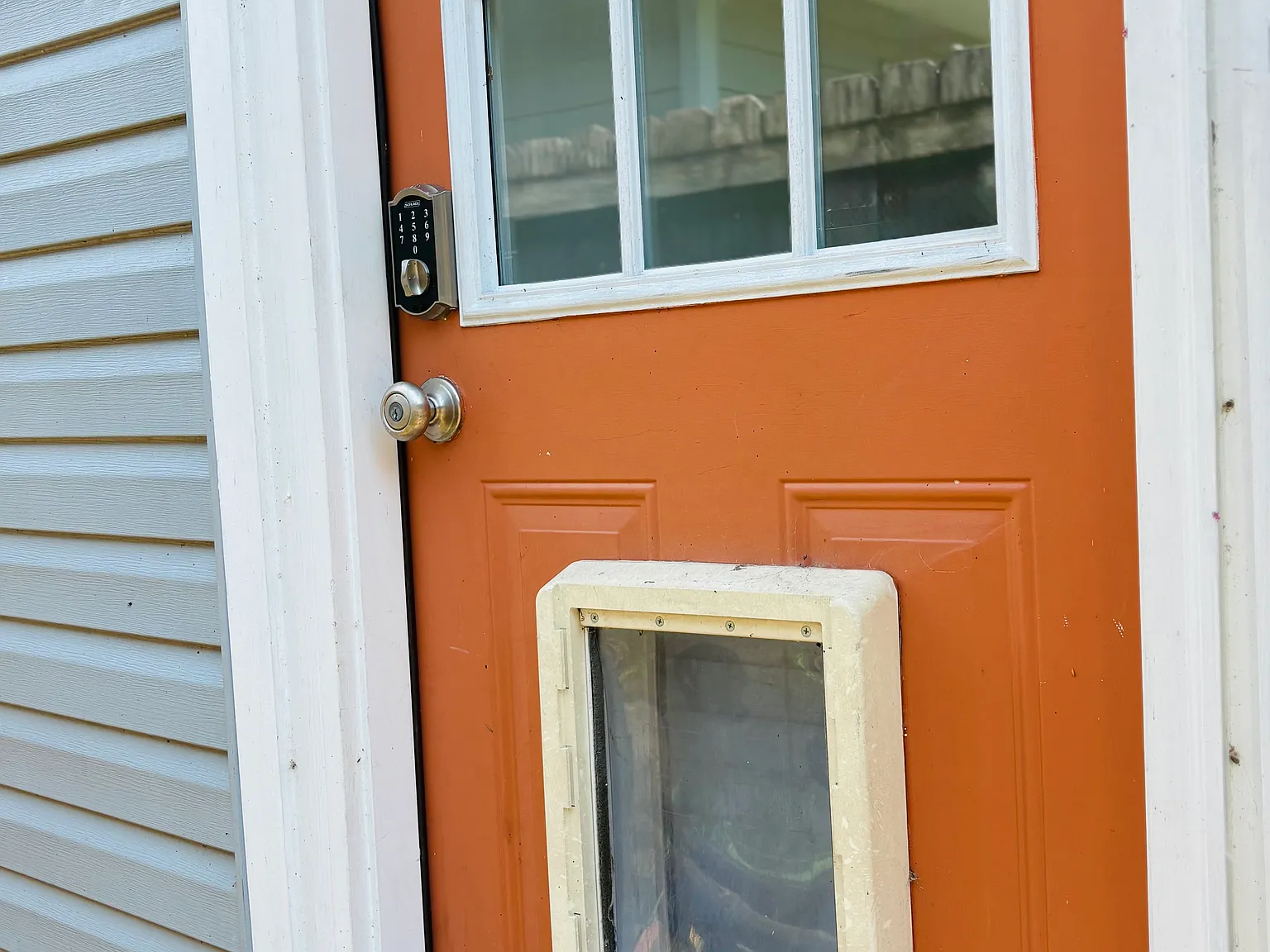 Virginia Ave, Chattanooga — Photo 4