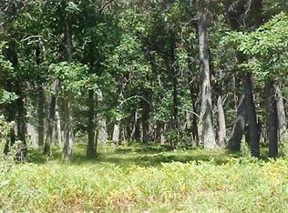 W Hoague Rd, Free Soil, MI 49411