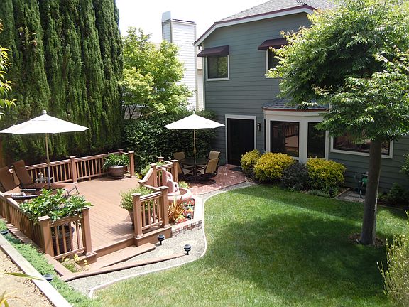 Back yard