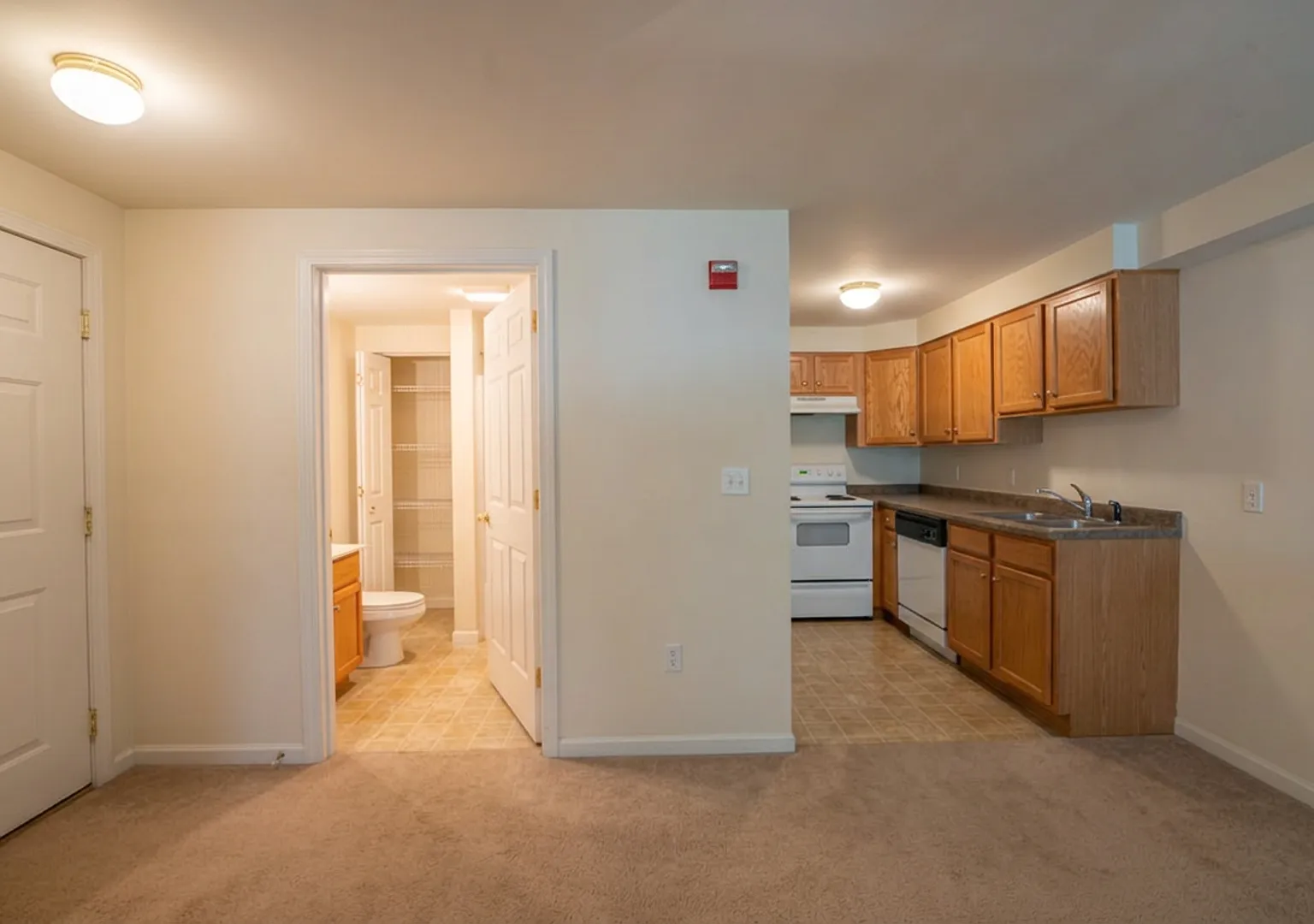 1 Bed 1 Bath Close To Downtown Freeport! — Photo 2