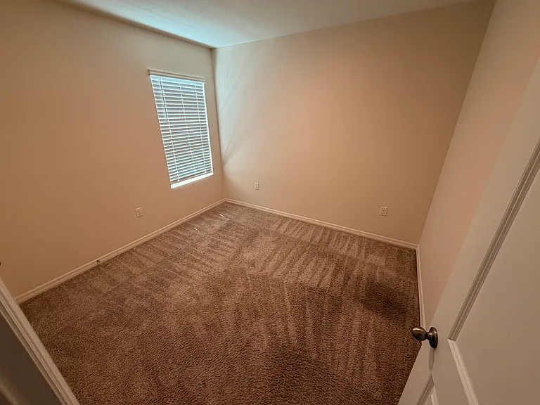 11003 Trailing Vine Dr — Photo 18