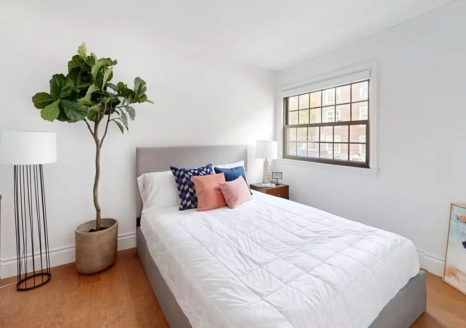 Mass Ave - Harvard Square - one bedroom 614sf apartment — Photo 3