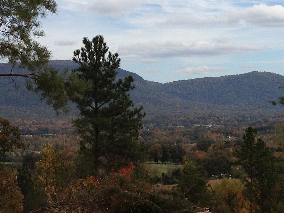 1st image of County Road 609
