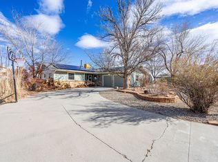 914 Patricia Ct, Fruita, CO 81521
