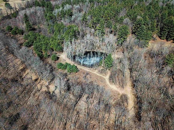 5th image of 399 Bard Road