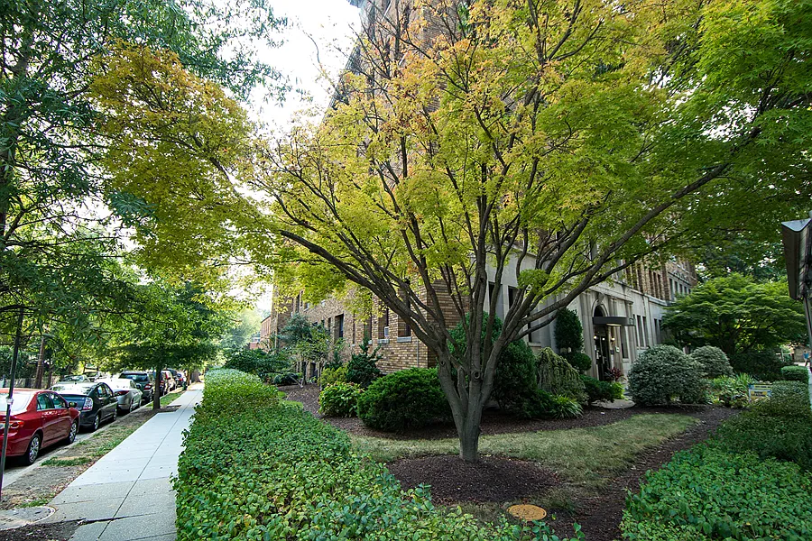 Building 3
