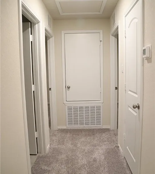 109 Prairie Falcon Way — Photo 12