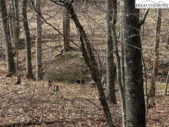 3rd image of 45 Happy Ridge Road