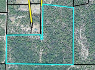 32-10F Pineknot Rd, Box Springs, GA 31801