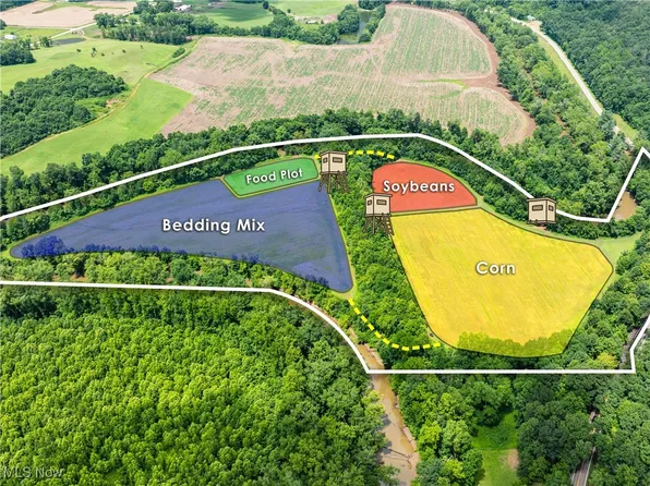 Plainfield Rd, Kimbolton, OH 43749