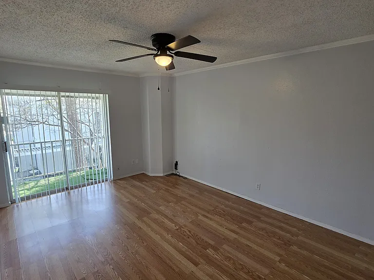 406 Hollyhill Ln — Photo 7