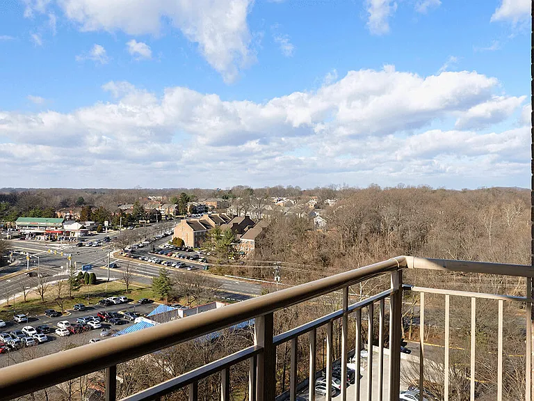 Gorgeous Fairfax, VA views from the balcony