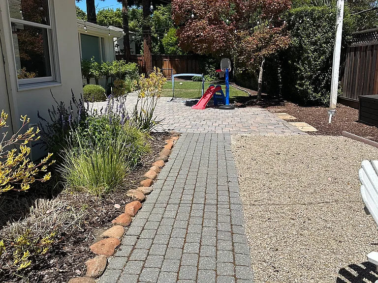 Backyard 2