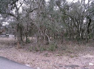 5542 W Sardock Ct, Homosassa, FL 34446