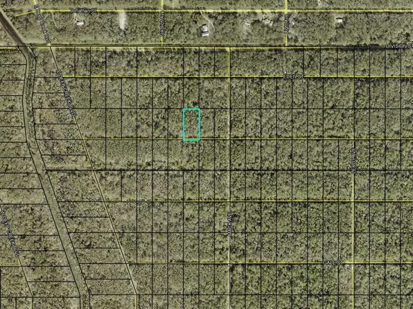 Xx Fagan St, Hastings, FL 32145